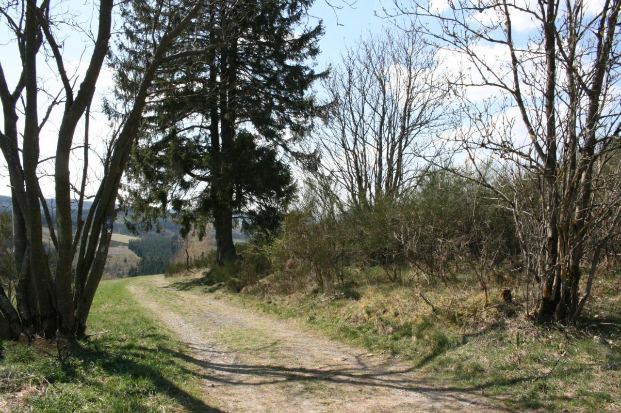 Ferienhaus Zur Ennest Schmallenberg Dış mekan fotoğraf