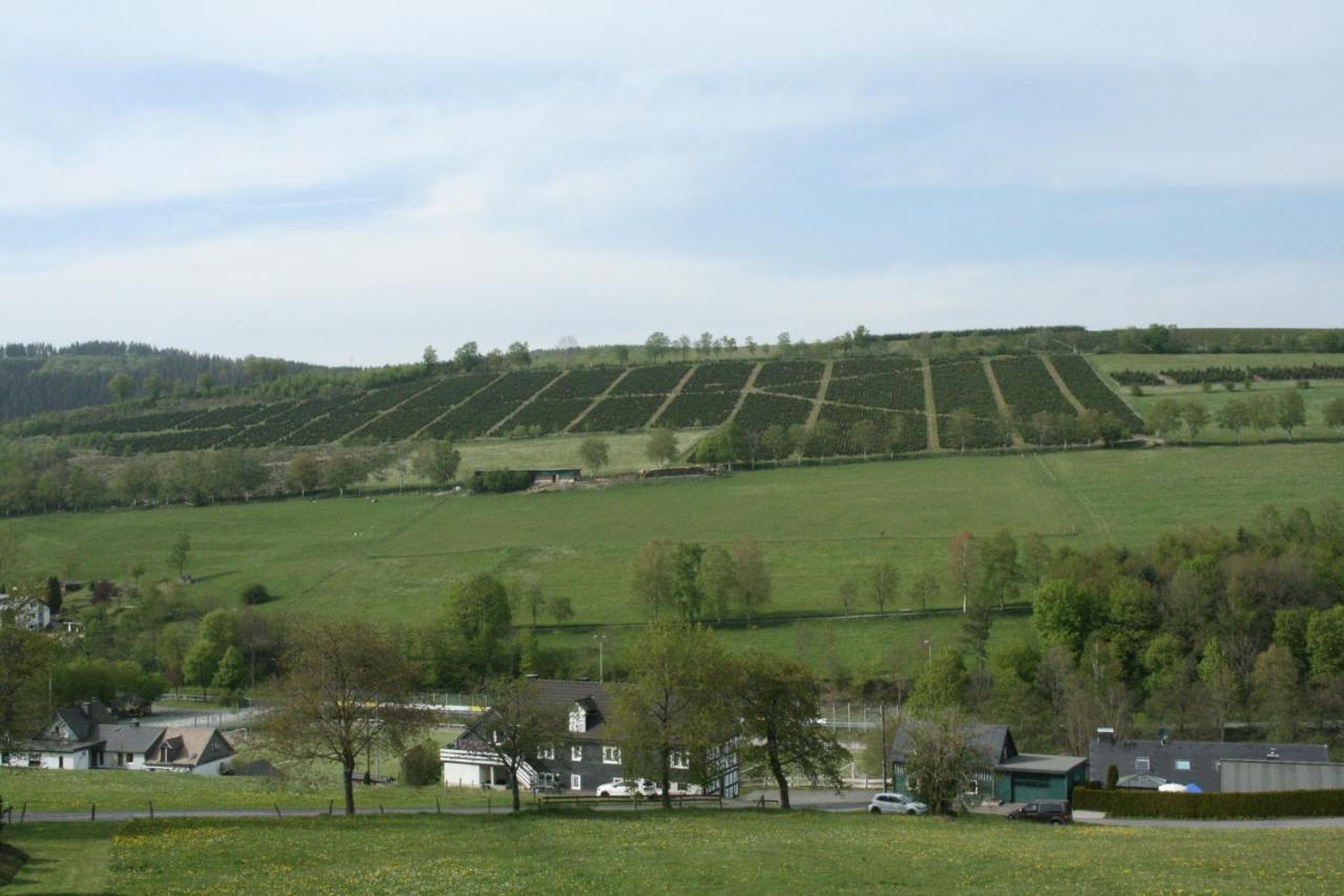 Ferienhaus Zur Ennest Schmallenberg Dış mekan fotoğraf